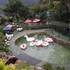 namhae