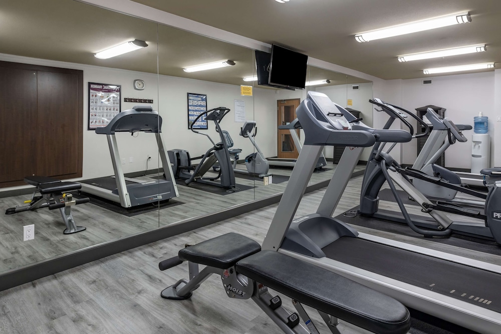 best western plus dartmouth hotel and suites