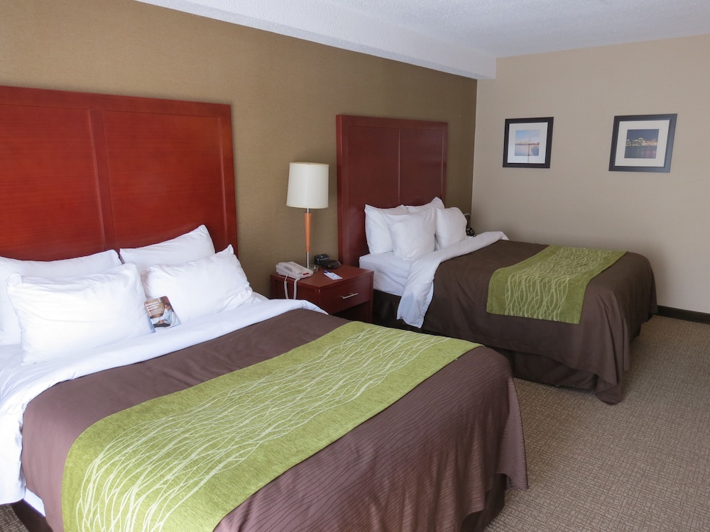 comfort inn dartmouth