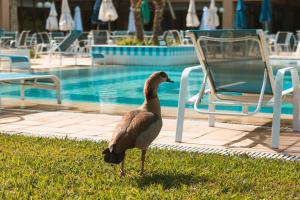 Villa Itaipava Resort & Conventions,Petropolis>>Itaipava,4.5 star