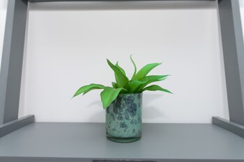 adbolton apartments new and low carbon