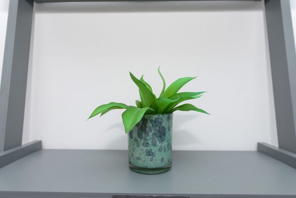 adbolton apartments new and low carbon