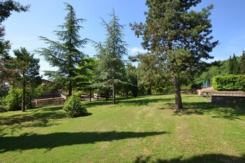 capolona