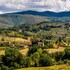 capolona