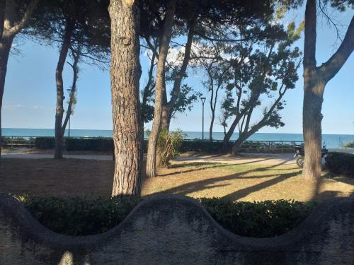 quadruple room 5 minutes from the sea