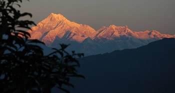 the parasol inn sikkim