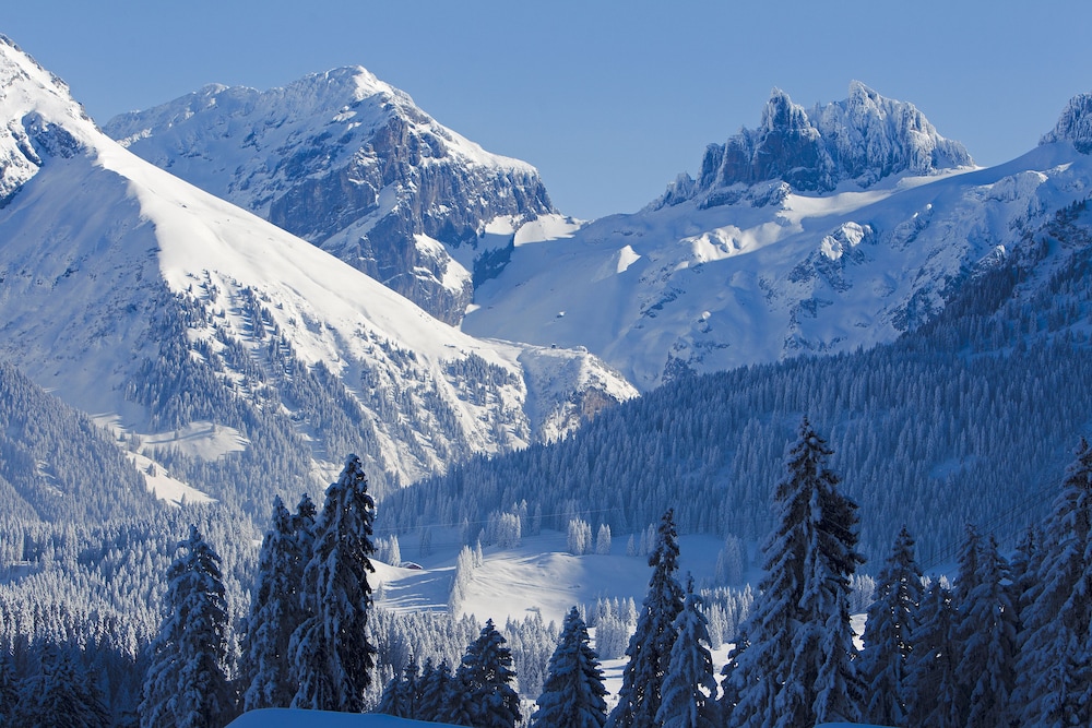 engelberg