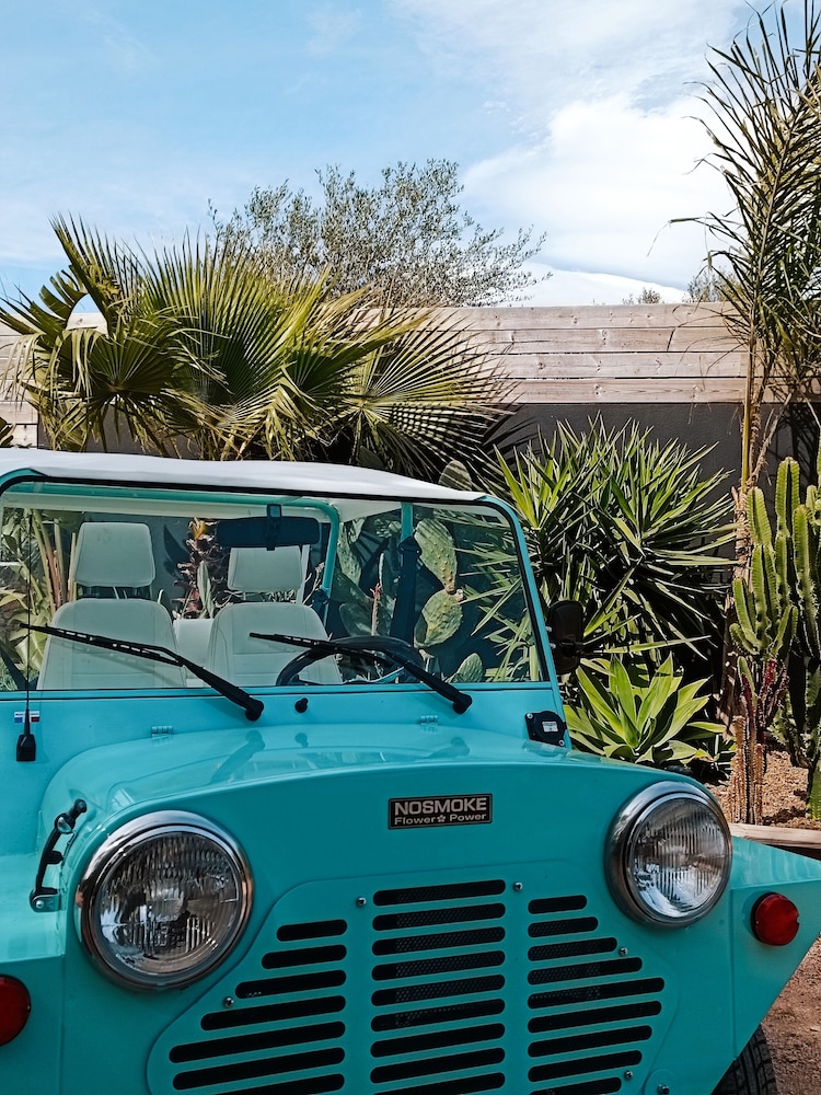 les suites du maquis