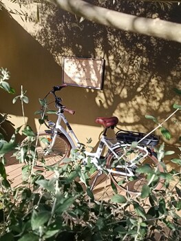 les suites du maquis