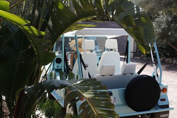 les suites du maquis