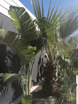 les suites du maquis