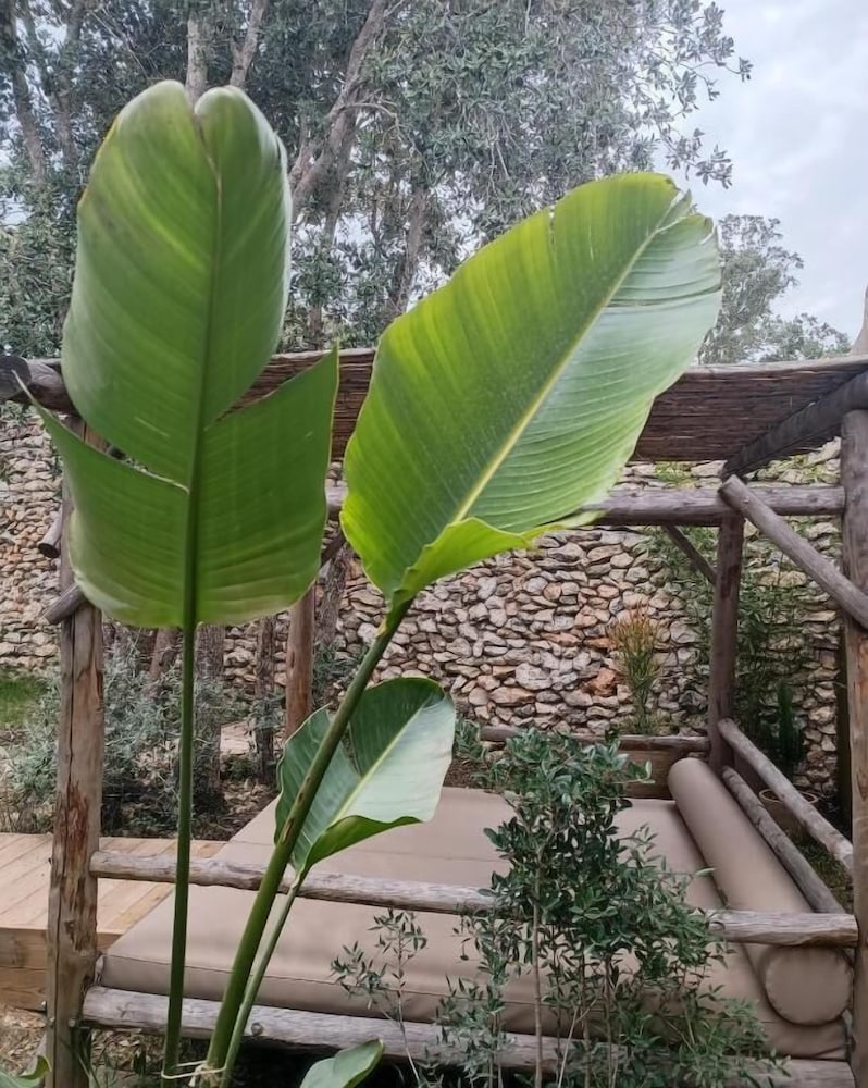 les suites du maquis