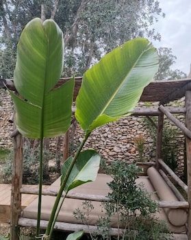 les suites du maquis