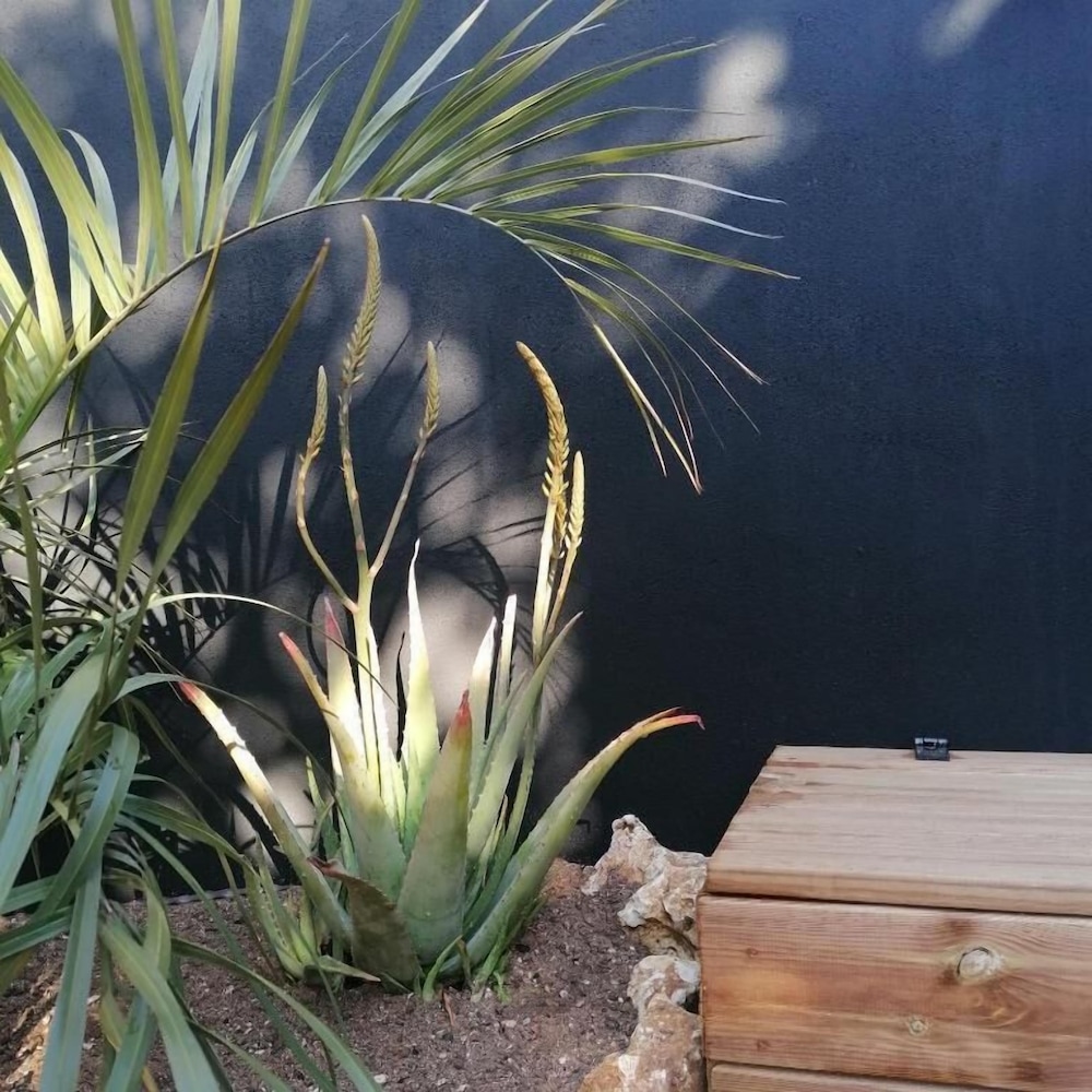 les suites du maquis