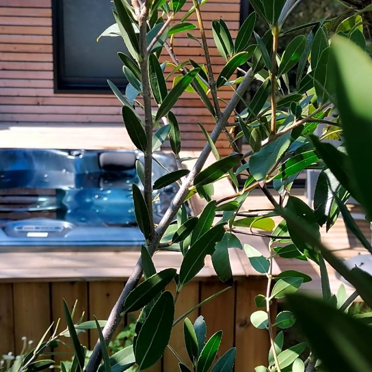 les suites du maquis