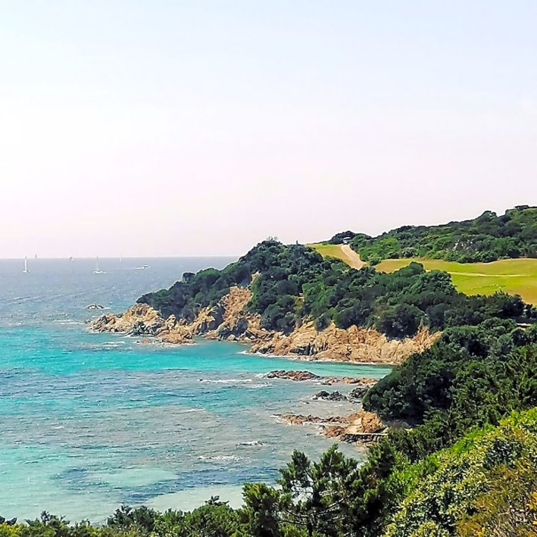 les suites du maquis