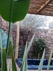 les suites du maquis