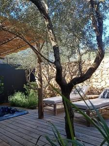 les suites du maquis