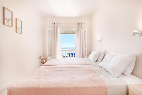 albatross apartments by konnect ipsos