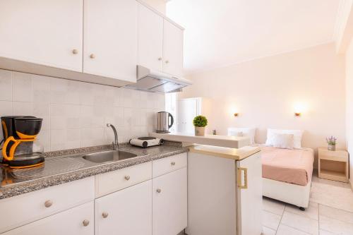 albatross apartments by konnect ipsos