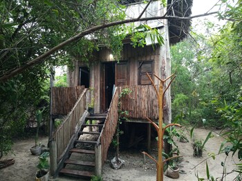 room in bb mida creek eco camp cottage house