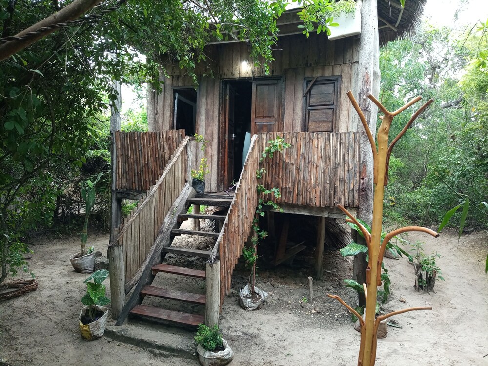 room in bb mida creek eco camp cottage house