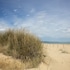 vasto