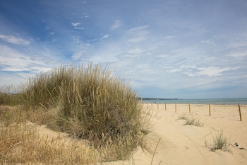 vasto