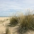 vasto