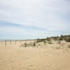 vasto