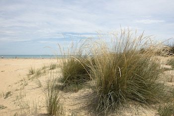 vasto