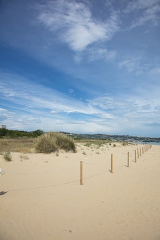 vasto
