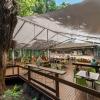 cape tribulation beach house