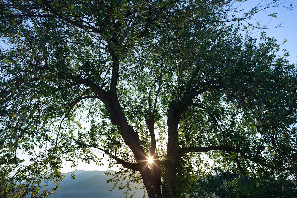 agriturismo la vecchia quercia