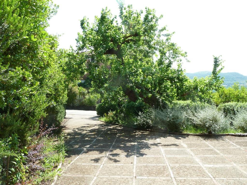 agriturismo la vecchia quercia