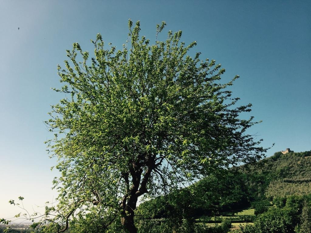 san cipriano picentino