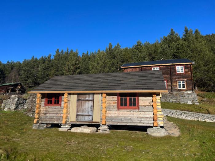 skjaak