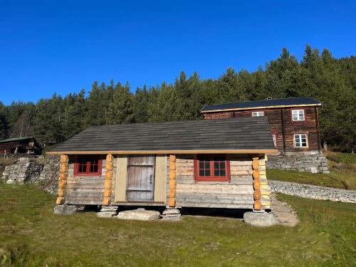 skjaak