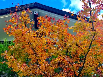 traditional machiya hotel shiomachi an