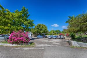 montego bay club apartments