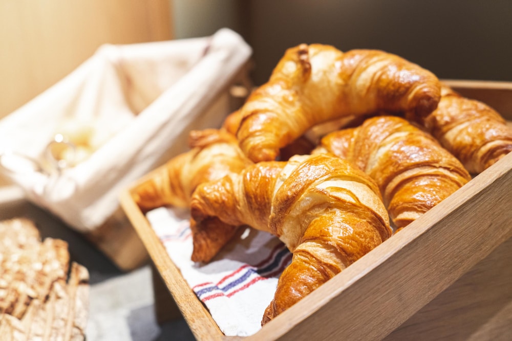 wedina serviced apartments