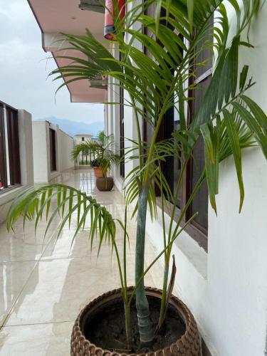 sanskriti