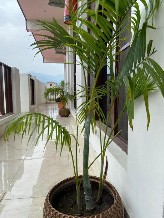 sanskriti