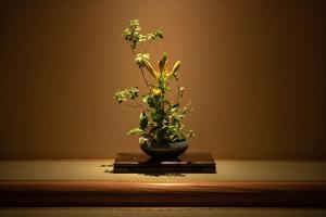 hagihimenoyu eirakukan