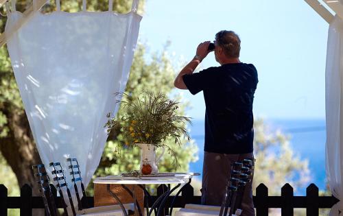 ledra samos hotel