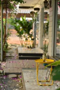 window homestay