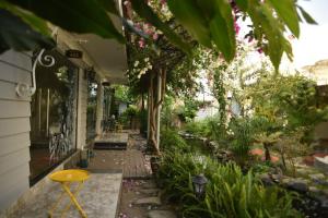 window homestay