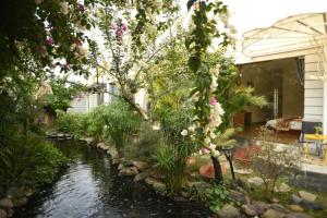 window homestay