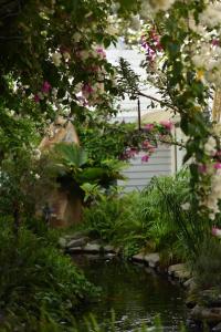window homestay