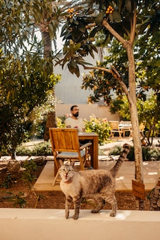 sant llorenc des cardassar